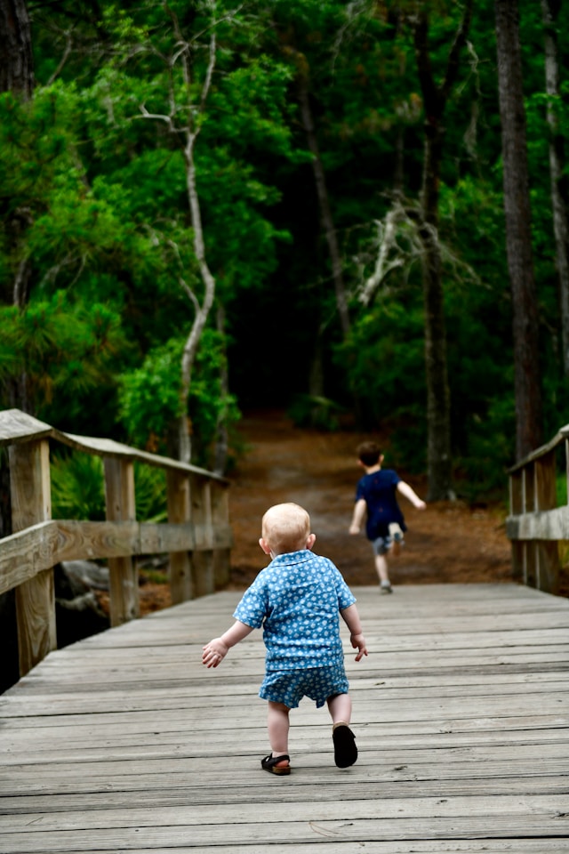 Holly landkammer 6nahpv7wom4 unsplash